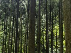 -雁荡山大龙湫景区