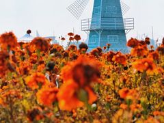 -坝上草原大汗行宫旅游景区