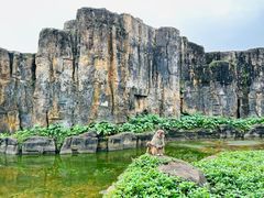 -海南热带野生动植物园