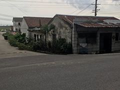 -上海都市菜园