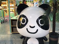 -龟与熊猫宠物公园(南坪店)