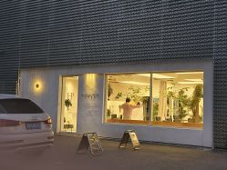 -Hair  Gallery
