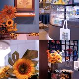 🌻上海探店｜向日葵控的天堂，美到哭泣！