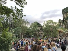 -奥兰多迪士尼动物王国乐园