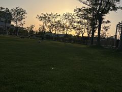 -Riverside河畔少儿足球培训(前滩店)