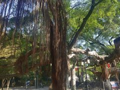 -小洲村