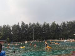 -柳浪游泳场