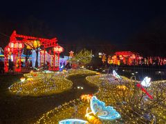 -洛阳市隋唐城遗址植物园