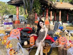 -灵玲国际马戏城
