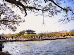 -墨池公园