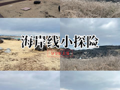 -涉地可支
