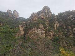 -大岭沟猕猴桃谷风景区