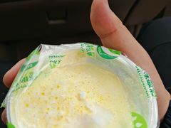 -德禄酸奶(莫家街店)