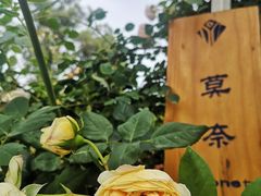 -悦哉·派对·草坪婚礼·围炉煮茶(三圣乡店)