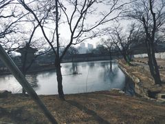 -景福宫