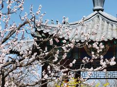 -北京凤凰岭