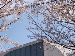 -龙美术馆(西岸馆)