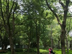 -北外滩滨江绿地