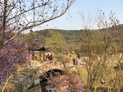 -石塘人家