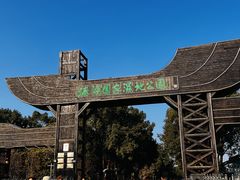 -溱湖国家湿地公园