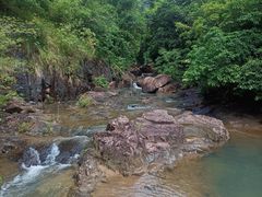 -广州白江湖森林公园