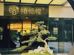 -椿杨樘·明康泡浴养生馆(重庆店)