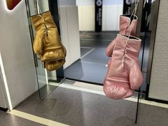 -FLARE STAR FITNESS(复地活力城店)