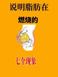 -Fundi张玉珊修身堂·indiba·BTL科技瘦身