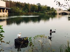 -上海怡沁园度假酒店