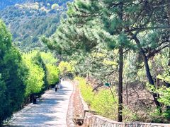 -北京西山国家森林公园