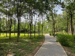 -东郊湿地公园