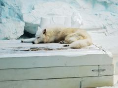 -珠海长隆海洋王国