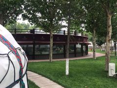 -九十九顶毡房(阜石路店)