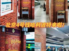 -北京大学东门(地铁站)