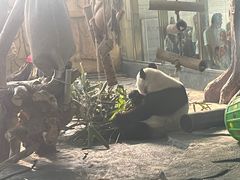 -泉州海丝野生动物世界