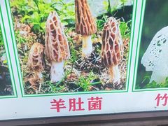 -菌之家·专业纯野生菌火锅·特色炒菌