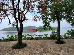 -东湖落雁景区
