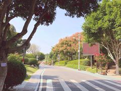 -仙岳公园