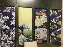 -JNK皮肤管理中心