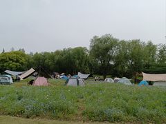 -上海滨江森林公园