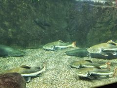 -太平洋海底世界