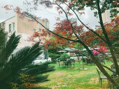 -大可堂普洱茶馆(襄阳南路馆)