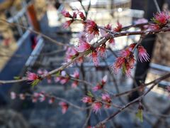 -圣莲山风景区