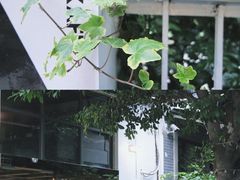 -ADO KAFE(大学城店)