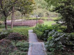 -徐家汇源景区-衡山公园