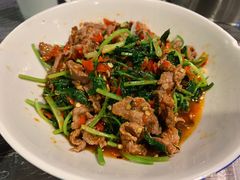 香菜炒牛肉-壹盏灯(惠农店)