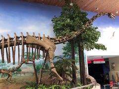 -延庆地质公园博物馆