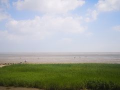 -南汇嘴观海公园