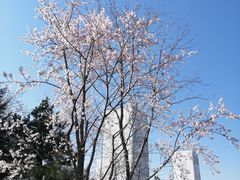 -长春北湖公园
