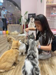 -MELAND CLUB亲子乐园·派对·餐厅(北京芳圆里ID MALL店)